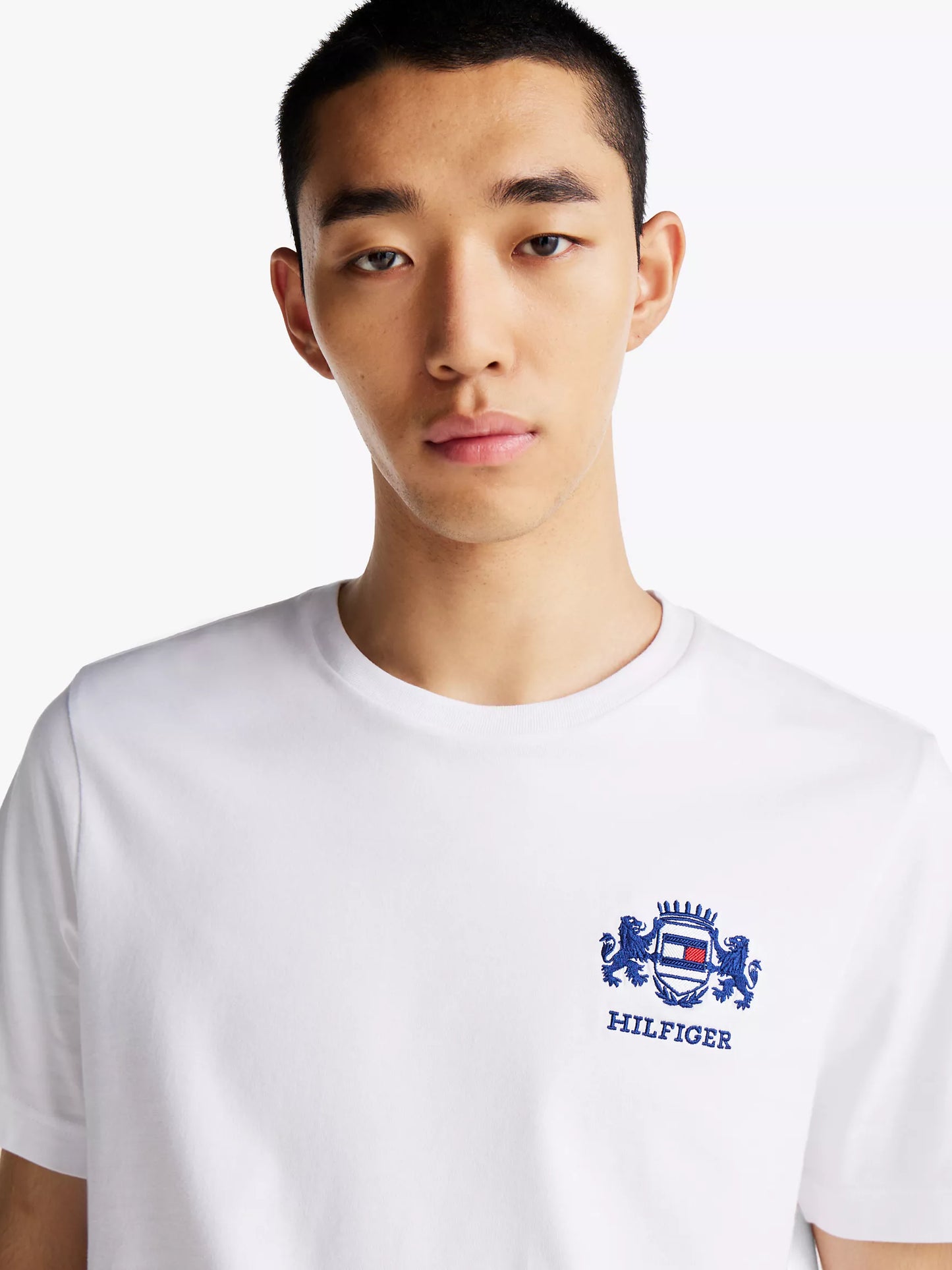 Tommy Hilfiger T-shirt