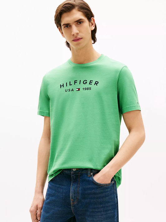 Tommy Hilfiger T-shirt